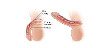 男生经常用手满足自己，有哪些好处和坏处
