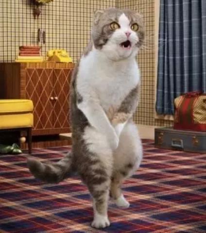 男孩“蛋疼”并非小事，及时预防睾丸炎！