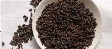 女贞子是什么树上结的果子 女贞子果实的图片