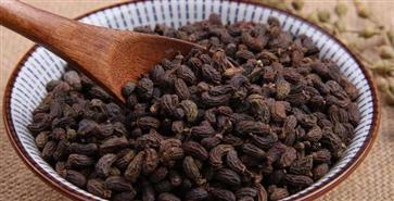 黄芪邂逅女贞子，对人体会提到什么作用和功效？