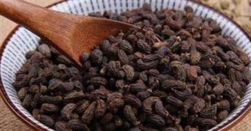 女贞子和什么搭配效果更好 女贞子的吃法与用量!
