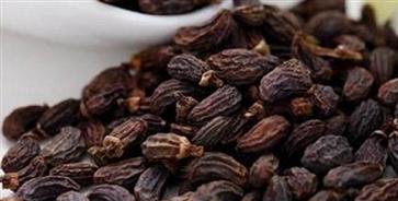 女贞子的功效和作用 怎么吃可以补肾阴虚