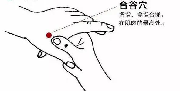 合谷的准确位置图片，合谷穴的功效与作用