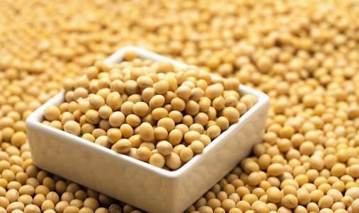 想要照顾好你的心脏？遵循两多三少原则心脏会更健康