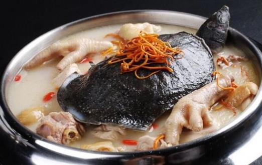 胖人补气, 瘦人补血？气血补不对,补再多都白费!