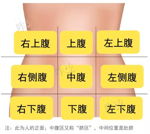 胃疼是哪个部位疼图片？手把手教你辨别