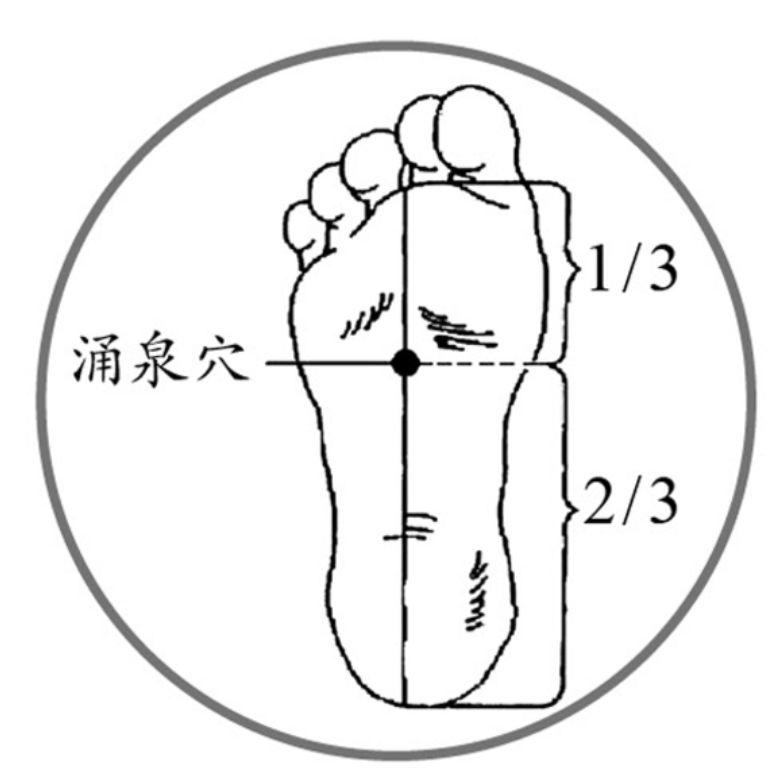 春吃1果、饮2水、按3穴,轻松应对春困秋乏