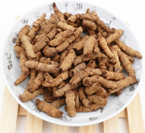 巴戟天吃一次就硬了 —— 补肾阳，强筋骨，祛风湿，谁吃谁受益