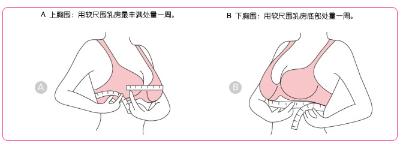 多大罩杯?什么杯型?详细聊聊女生应该怎样挑选bra