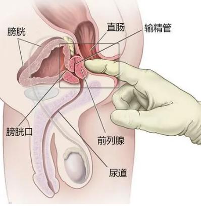 真不是弯！男生那难以启齿的愉悦……