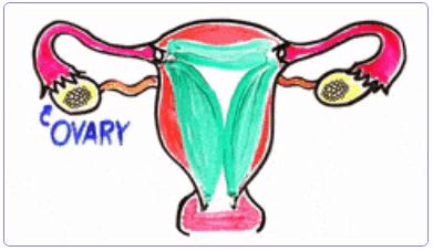 爱爱的时候那里有噗噗的声，是太激烈了吗……