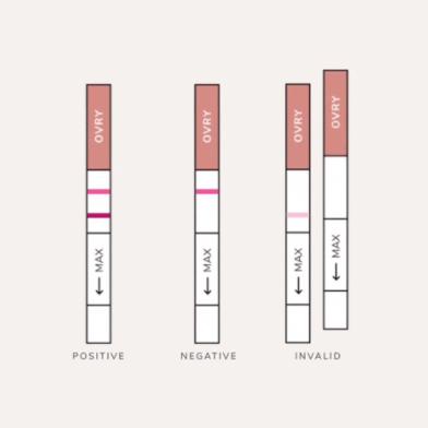 验孕棒几条杠是怀孕？1条 or 2条