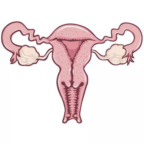 怀孕后私处的这些变化正常吗