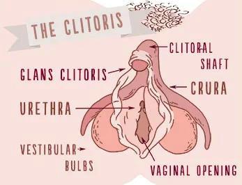 我觉得自己阴部太丑，怎么办