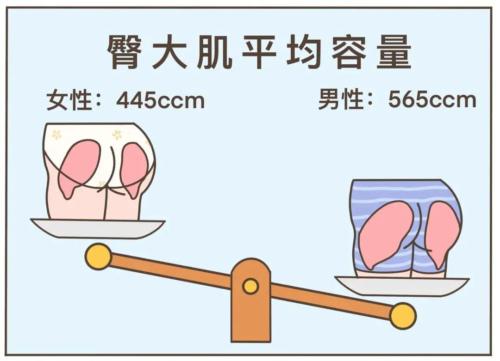 为什么男生的屁股比女生还要翘