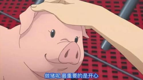 自然界性爱时长排名,人类能排第几?