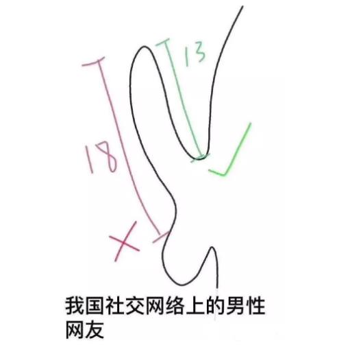 我国成年男性的阴茎到底有多长