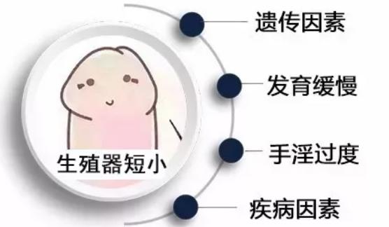 40岁男人吃了睾丸酮长了5厘米是真实的案例吗？