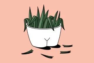 私处毛毛的用处你都知道吗