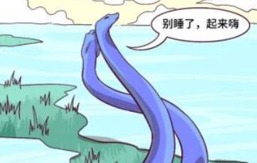 自然界啪啪时长排名,人类能排第几