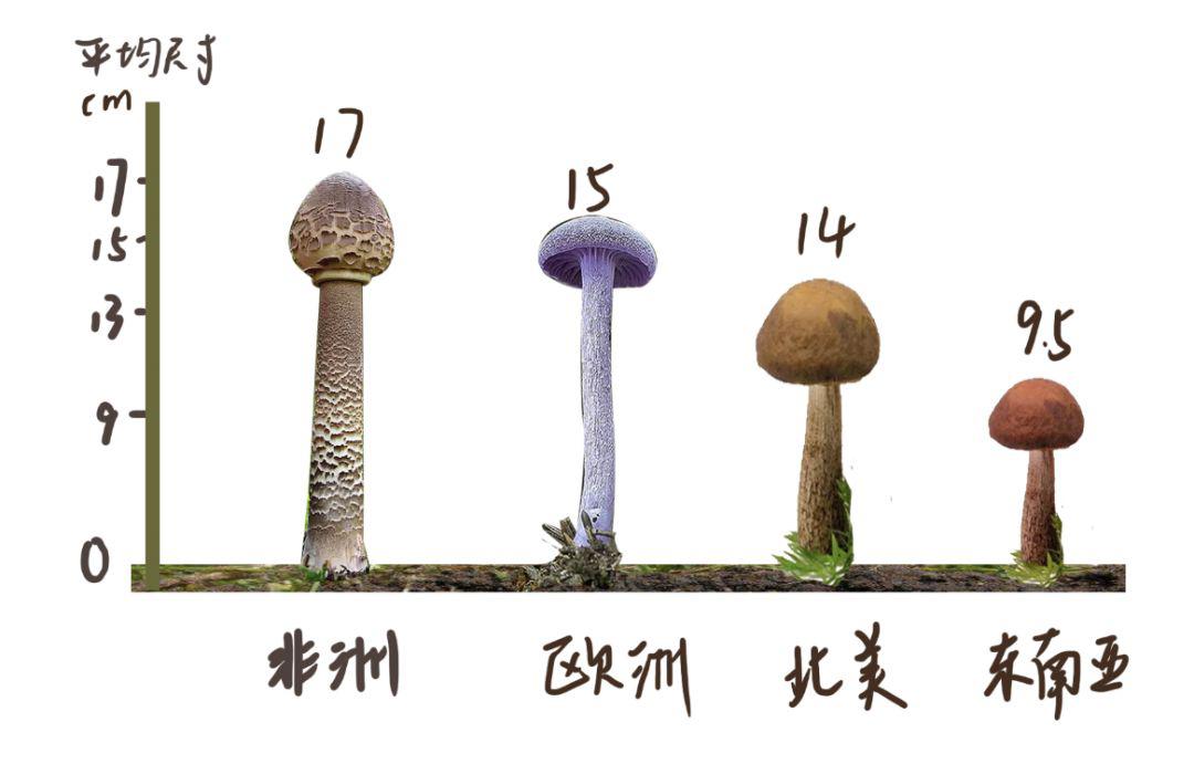男子登机被扣留疑似携带武器原因竟是兄弟太长