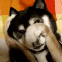 谈恋爱多久可以啪啪啪