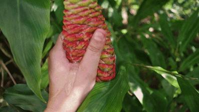 作为女生，用润滑液很丢人吗