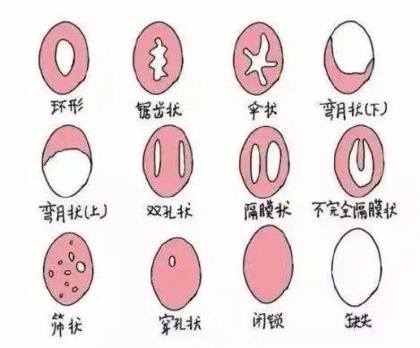 女性都是怎么偷偷解决生理需求的