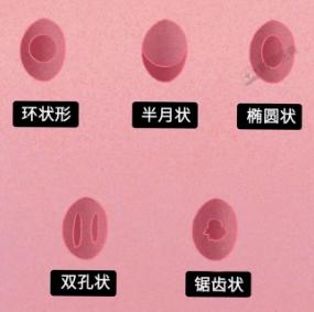 性生活中,女人最希望男人在床上做哪些事