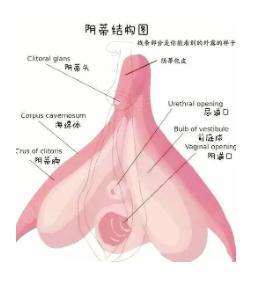 女友高潮时的奇怪表现,你的中招了吗
