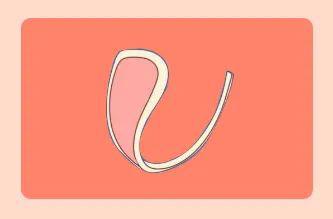 丁字裤到底有多性感