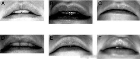 嘴唇越丰满的人更容易高潮