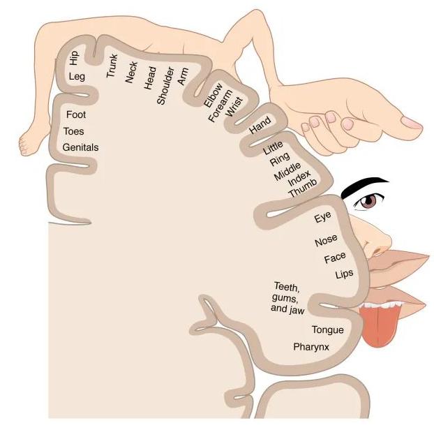 「恋足」是如何成为一种性癖的