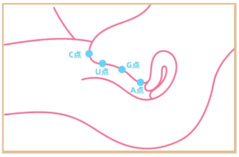 女生G C点糕潮到底有多爽,附《实操指南》