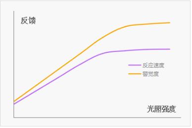 爱爱开灯or关灯？选对灯光能有多快乐