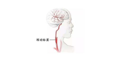 情侣亲热时,一定要避开哪几个部位