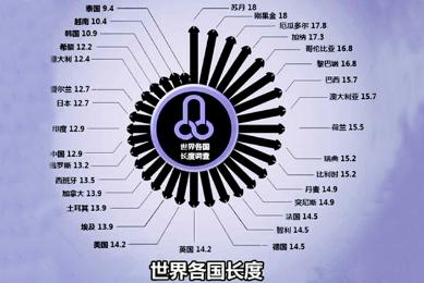 丁丁长度和粗度，哪个更重要