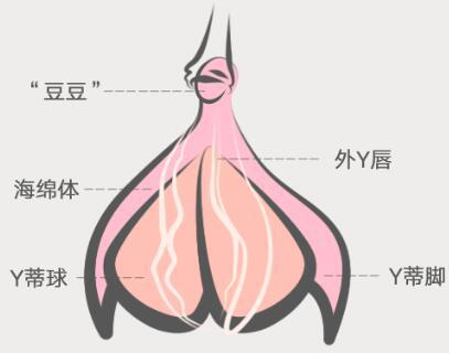 潮喷液真的可以让女人喷潮吗？