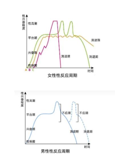 懂了性冲动规律,才知道她并不冷淡