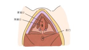 晚上做那事是怎么做教程？初夜指南了解下