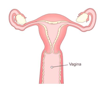 女生勃起全过程,这是可以看的吗