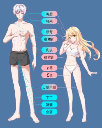 如何开发女友身体的动情区