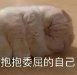 提高性满意指数的N个骚操作,男女必知!