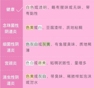 女生的内裤到底有多脏