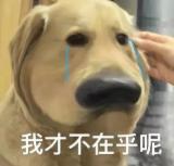 女人玩起情趣玩具有多开放?这个答案你们可能想不到. . .