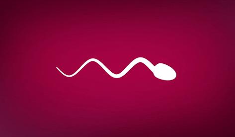 什么性爱姿势最容易怀孕？真相是. .