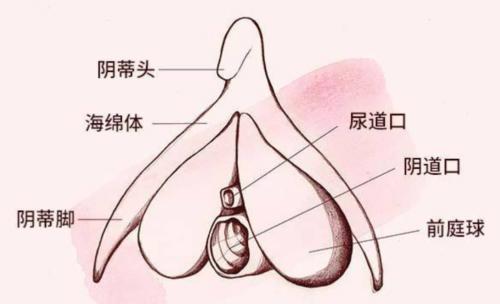 那些年,我们对性生活的误解