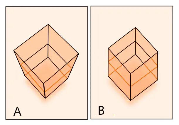丁丁有点小，还能愉快地啪啪吗