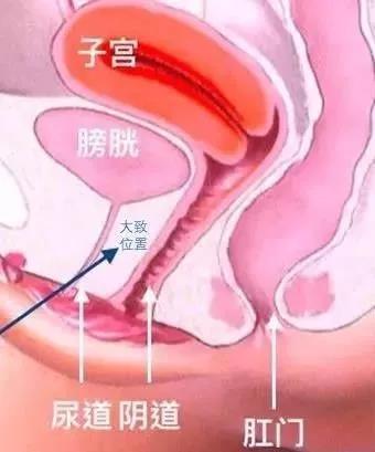 潮吹和漏尿有什么区别