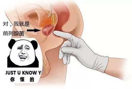 前列腺快感是怎么样的体验
